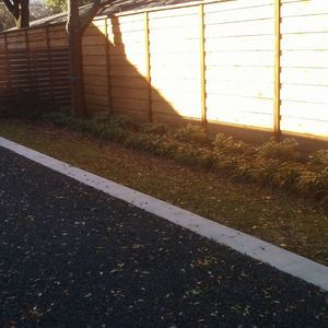 Meet your Posher, Steve